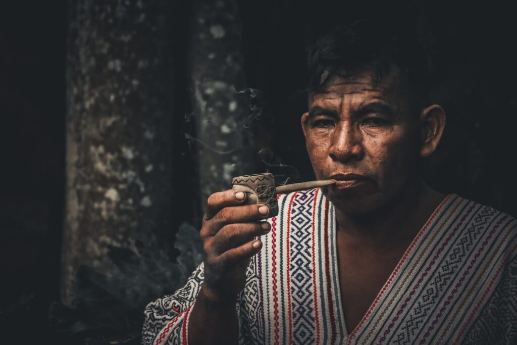 Ayahuasca apprenticeship